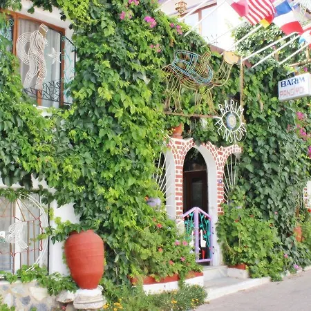 Barim Σελτσούκ